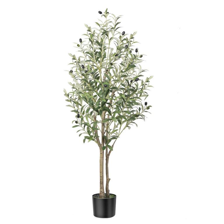 ALUPSSUC 4FT OLIVE TREE