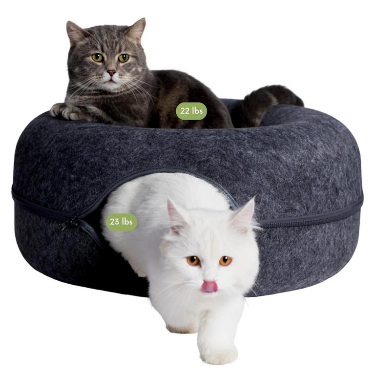 CATTASAURUS  CAT CAVE L