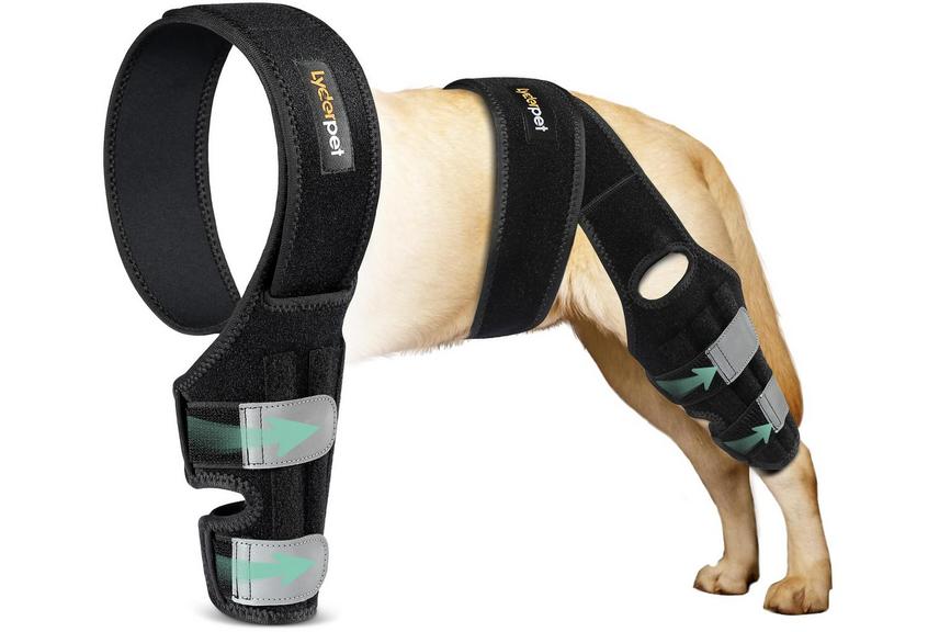 LYDERPET DOG KNEE BRACE