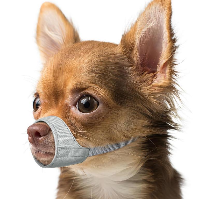 MAYERZON S DOG MUZZLE