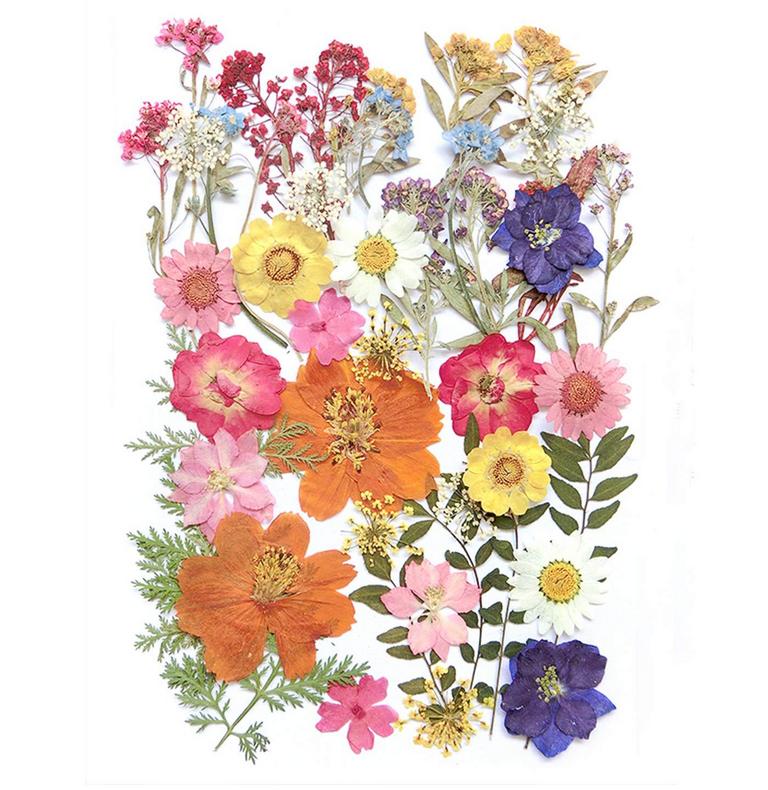 AHTONG 48PCS DRIED FLOWERS