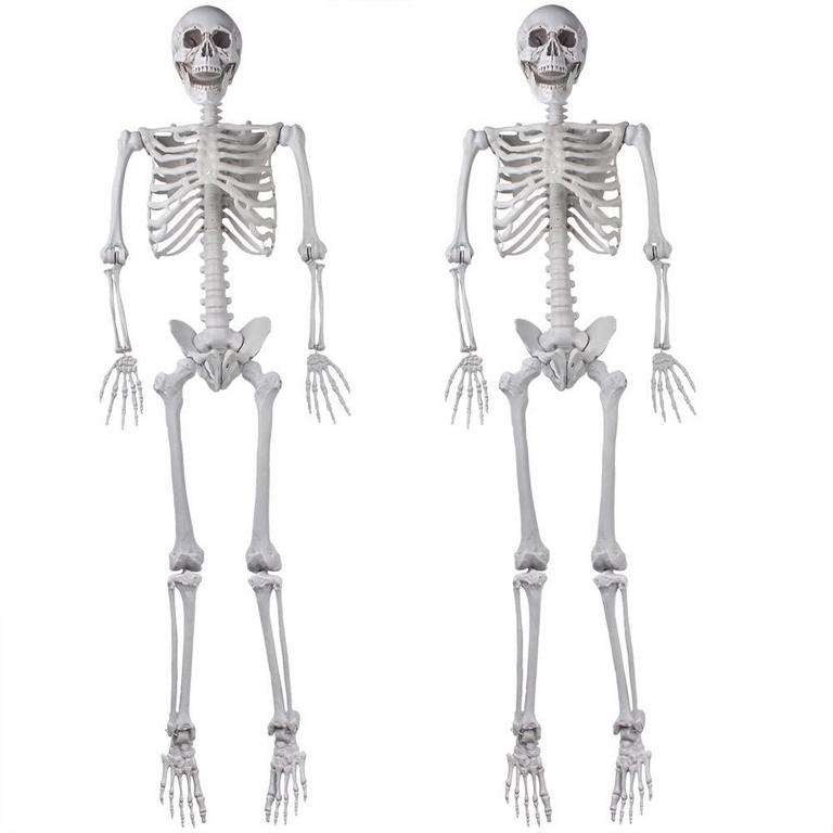 XONOR 5.4FT SKELETONS