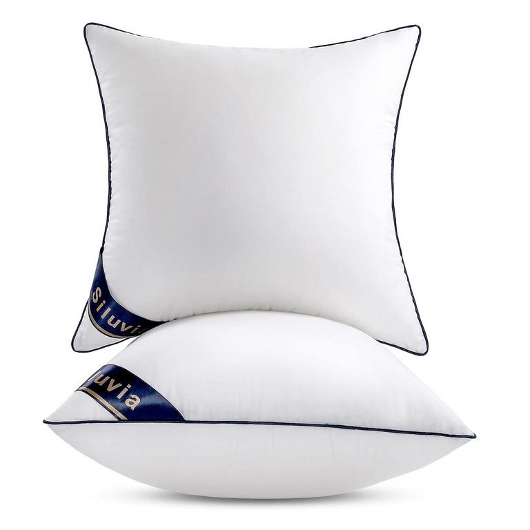 SILUVIA 20IN X 20IN PILLOW INSERT 2PK