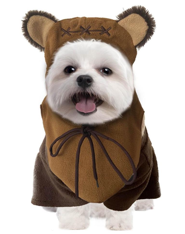 SWEET MAX BEAR PET COSTUME SM