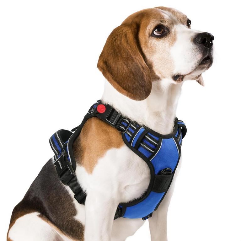 RABBITGOO DOG HARNESS M