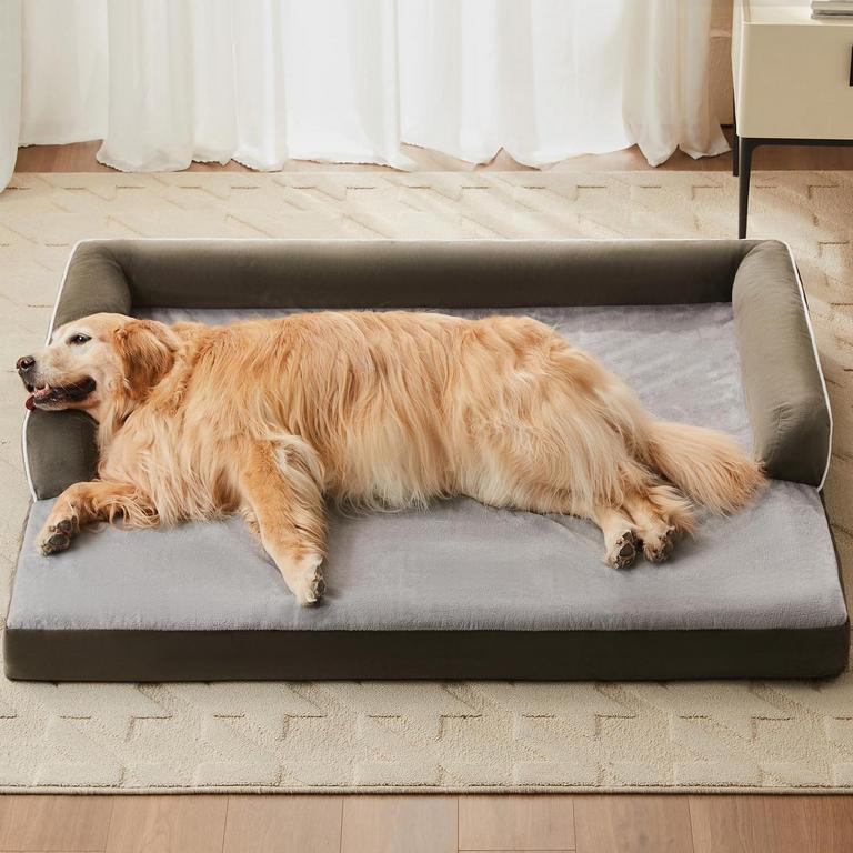 LEXTRO  DOG BED 42IN