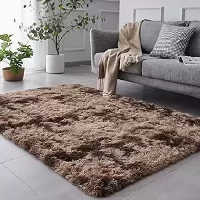 4X6FT SHAG AREA RUG