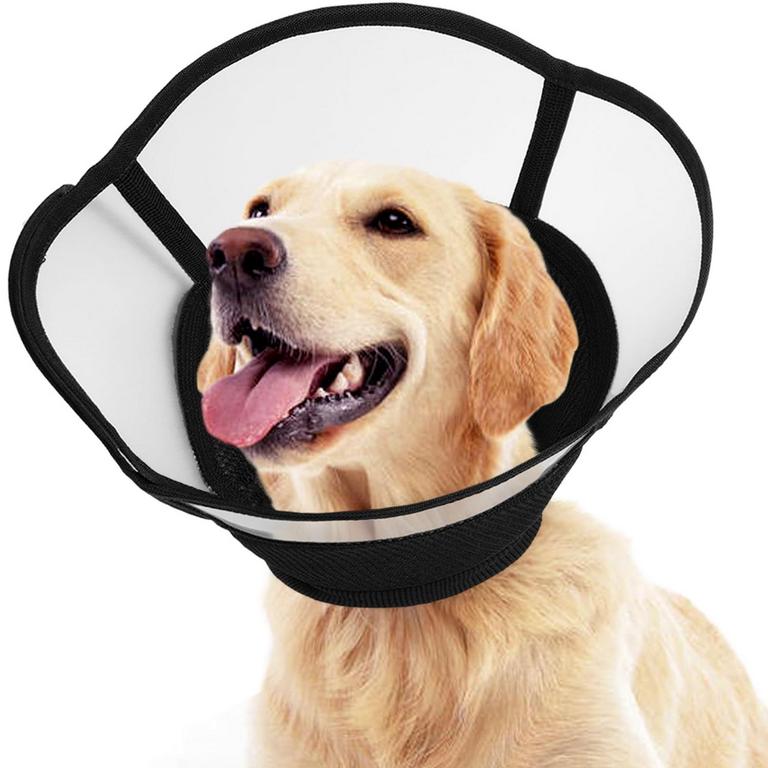 KUOSER DOG COLLAR XL