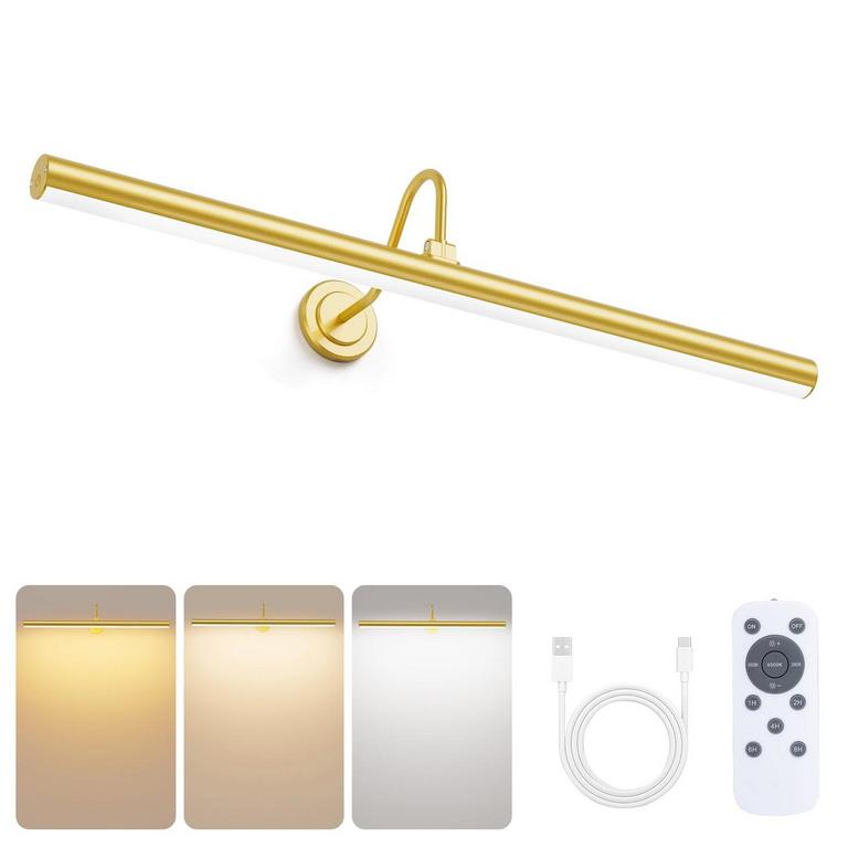 BRIDIKA 23.6IN PICTURE LIGHT