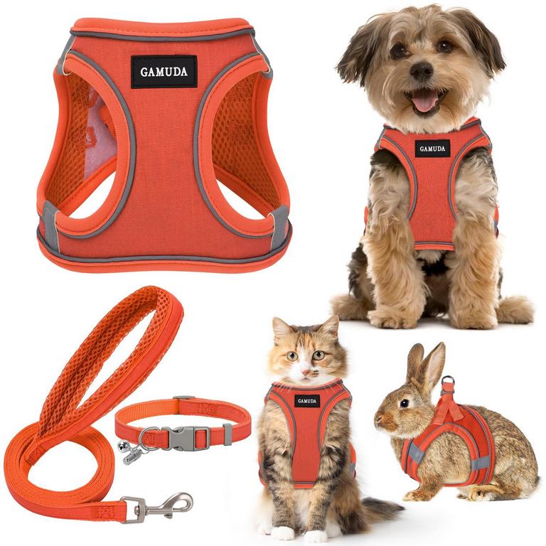 GAMUDA XS PET HARNESS & LEASH SET