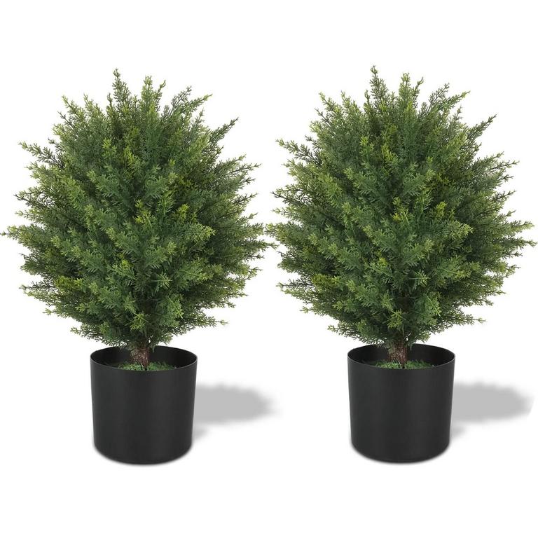 2 ECOLVANT 2PK 21IN TOPIARY TREES