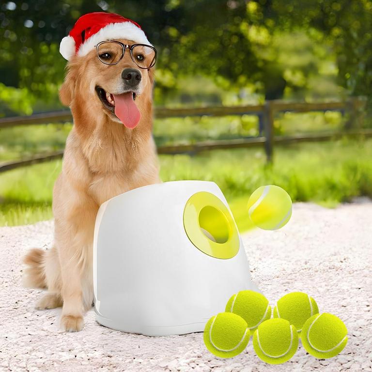 ALL FOR PAWS BALL LAUNCHER