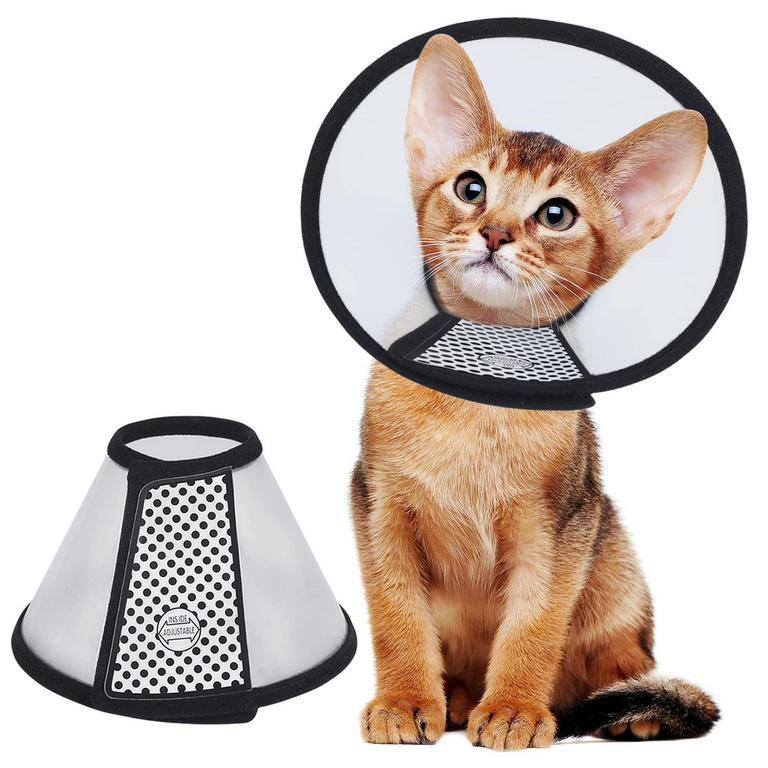 VIVIFYING CAT CONE M 8.1IN