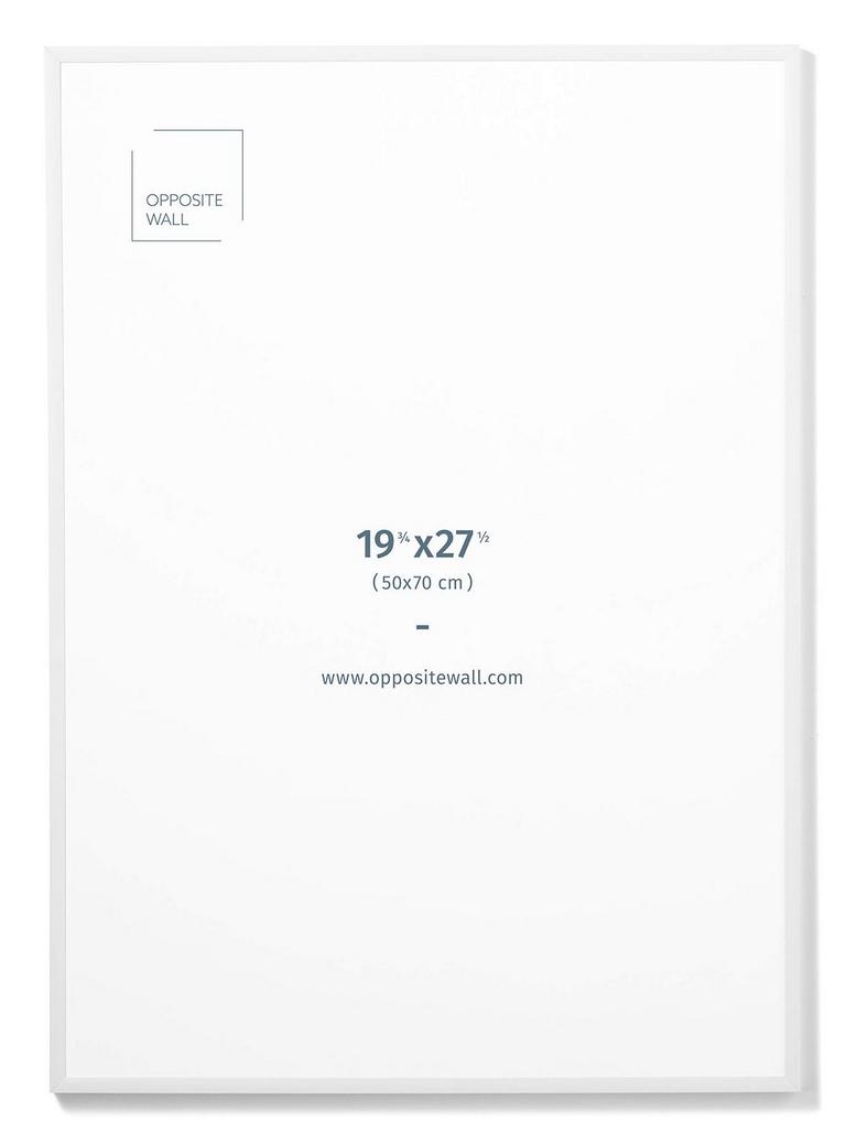 OPPOSITE WALL PICTURE FRAME 19.75IN X 27.5IN