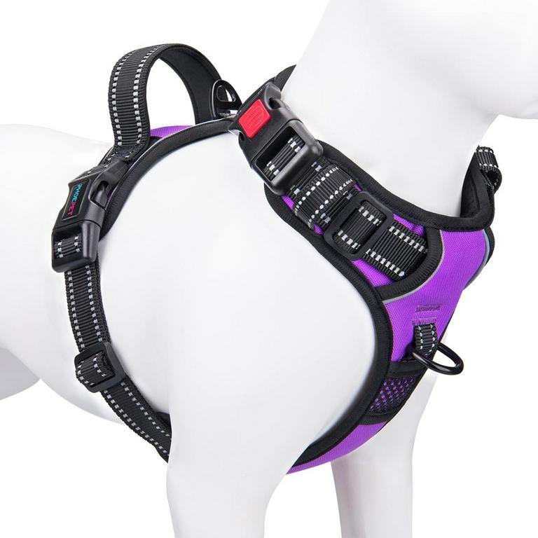 MEDIUM DOG HARNESS