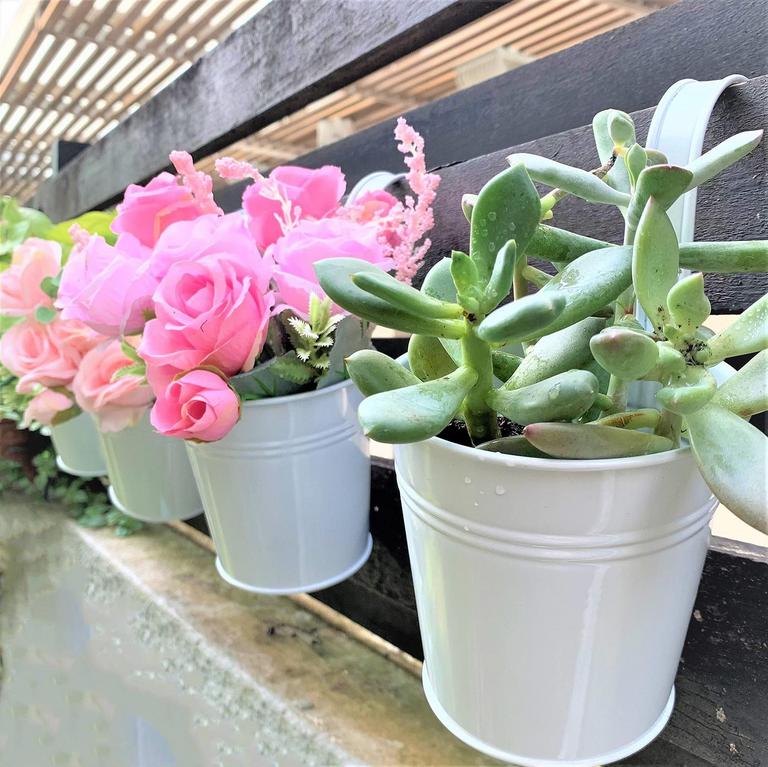 LALAGREEN 6IN HANGING POTS 10PK