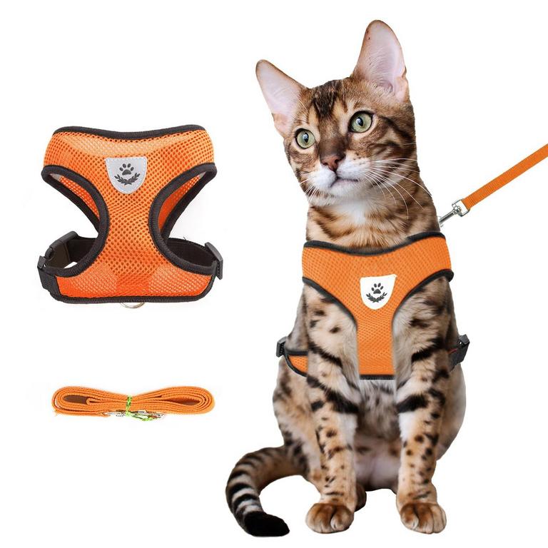 CAT HARNESS SET