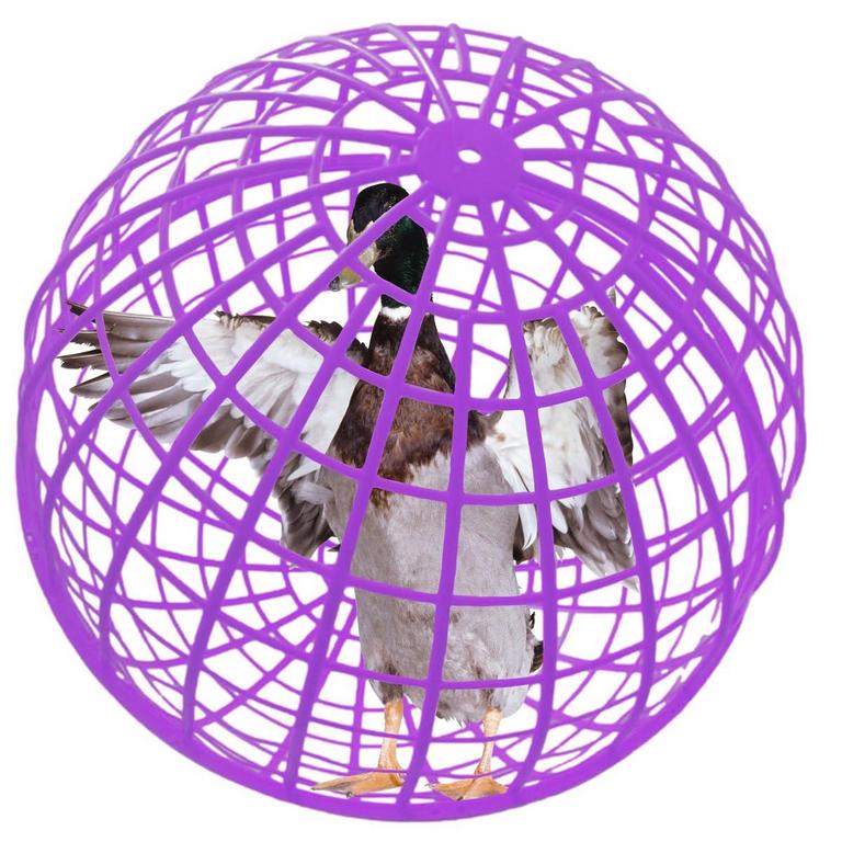 CALORMIXS 19.6IN PET CAGE
