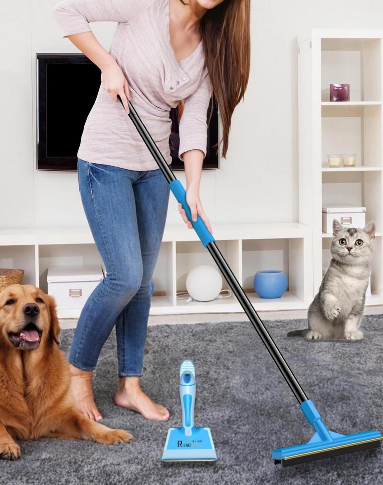 CEARKTIY PET HAIR REMOVER