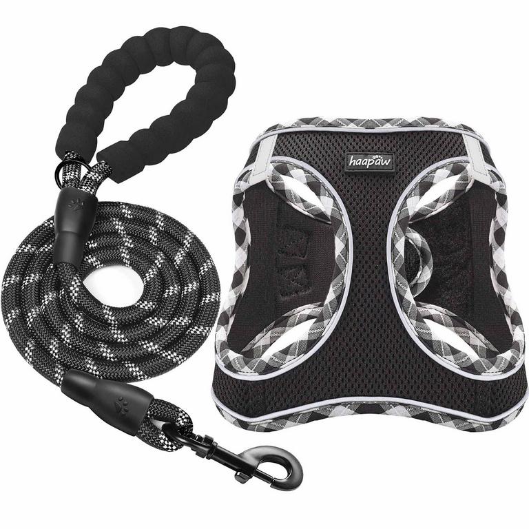 HAAPAW DOG HARNESS & LEASH SZ M BLACK