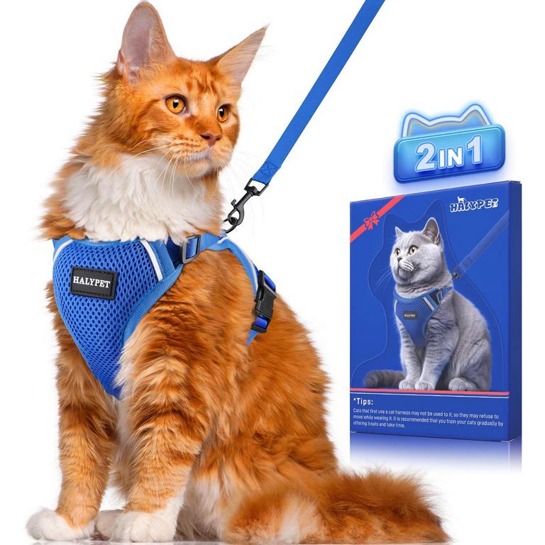 HALYPET H200 PRO M BLUE CAT HARNESS SET