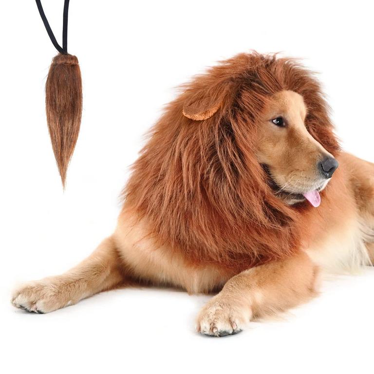 CPPSLEE LION MANE FOR M DOG