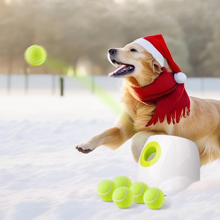 ALL FOR PAWS BALL LAUNCHER