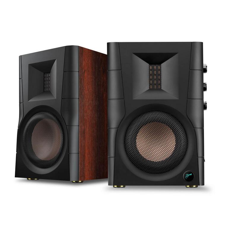 HIVI-SWANS D100 SPEAKERS