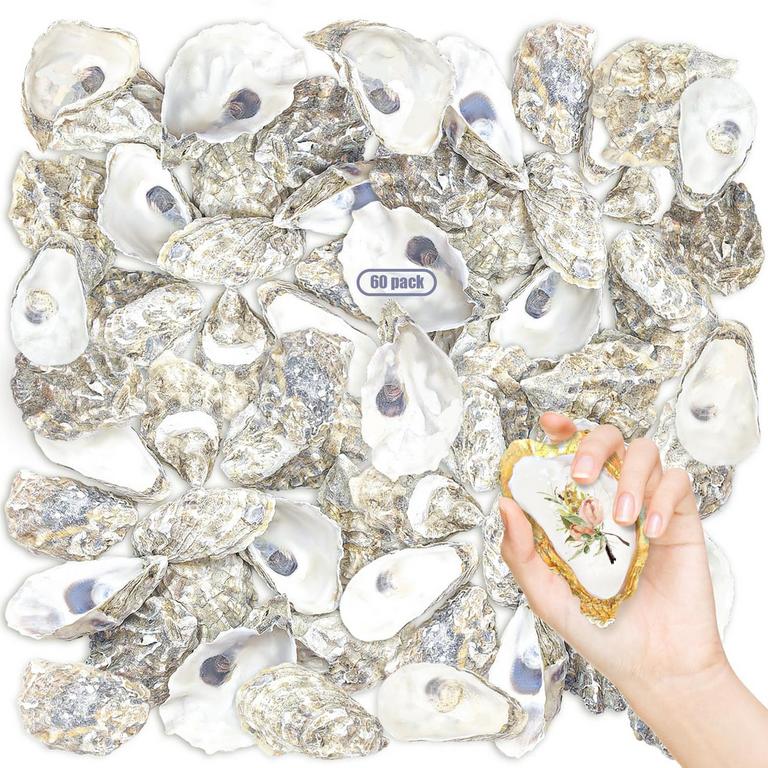 STONECHIC 60PCS OYSTER SHELLS