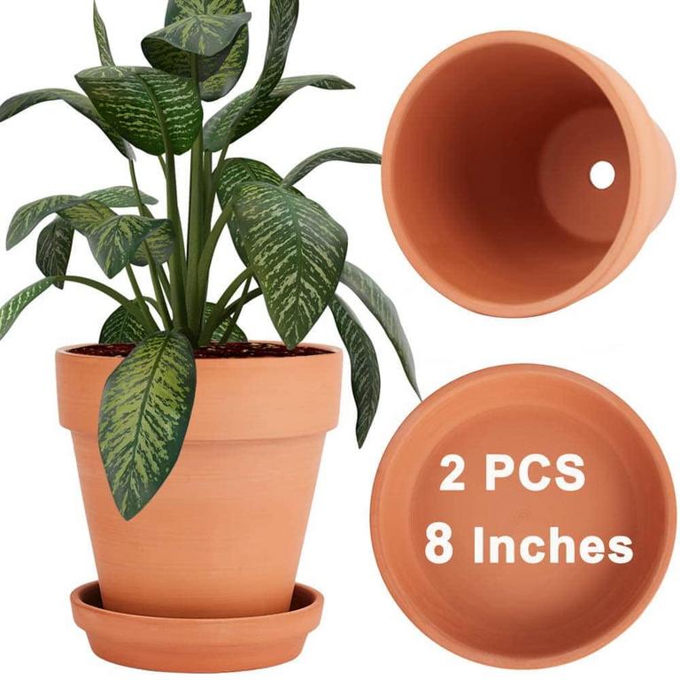 VENSOVO 8IN CLAY POT 2PK