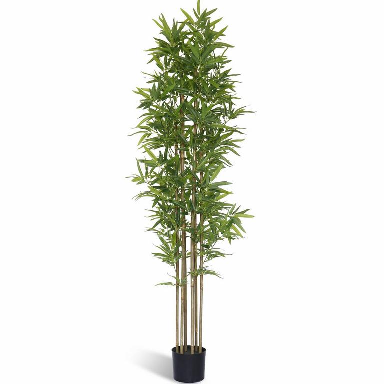 SOFTFLAME 6FT BAMBOO TREE