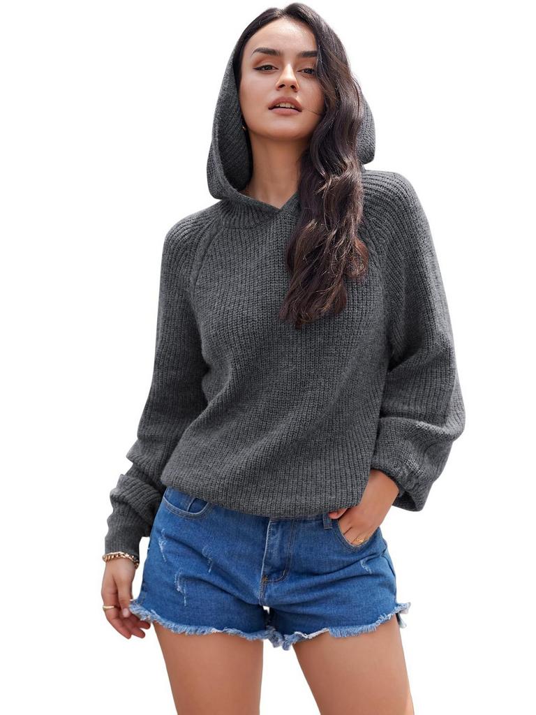 ZAFUL HOODIE SWEATER WOMEN