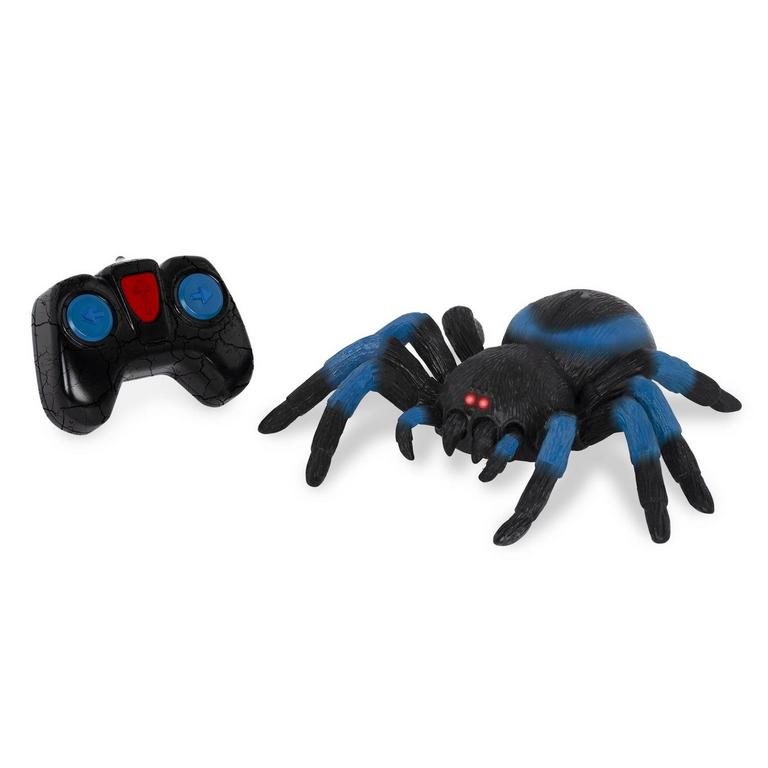 TERRA RC SPIDER