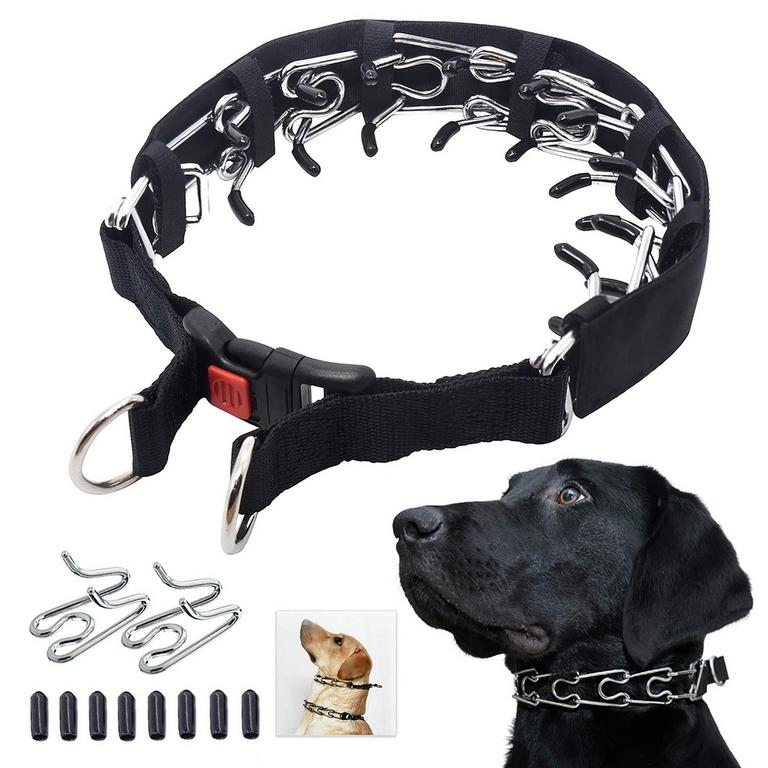 DOG COLLAR TRAINING TIPS