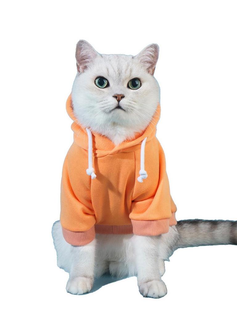 QWINEE DOG HOODIE L ORANGE