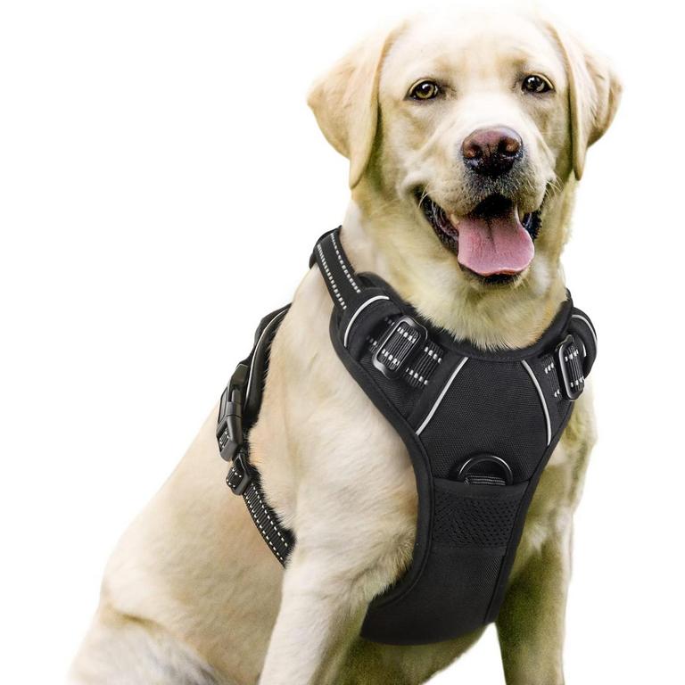 RABBITGOO DOG HARNESS L