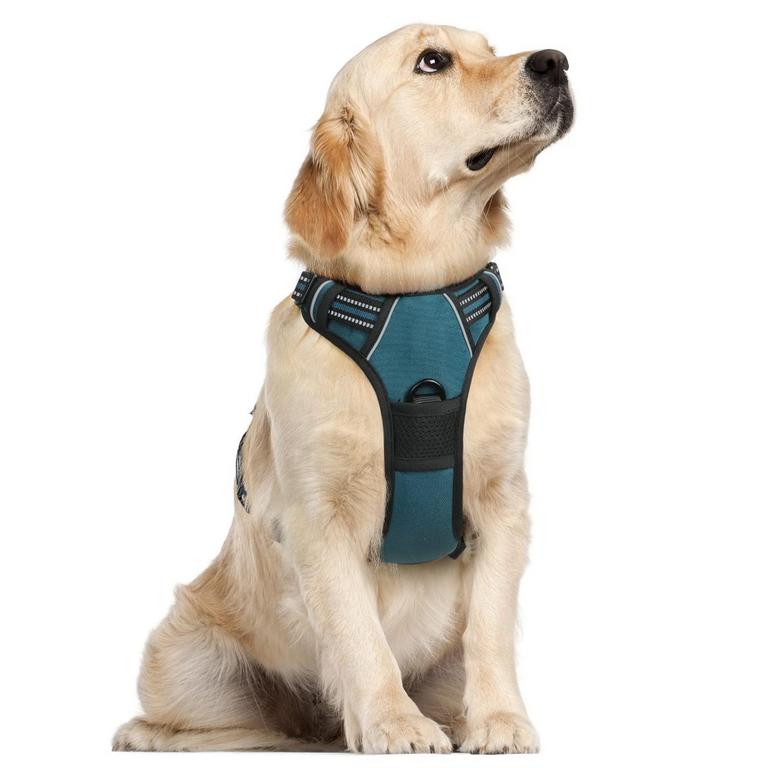 RABBITGOO DOG HARNESS L