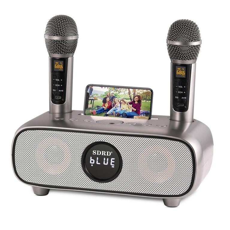 DLARA BT KARAOKE MIC SET