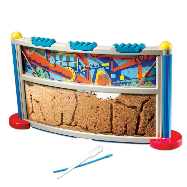 GEOSAFARI ANT FACTORY