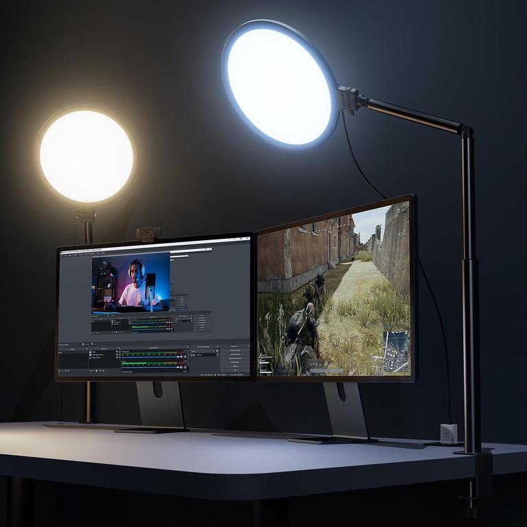 WEILISI 10.2IN DESK LIGHT