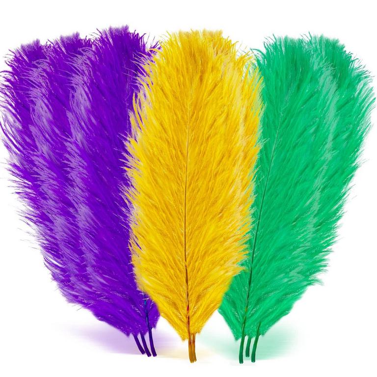 18PCS MARDI GRAS FEATHERS