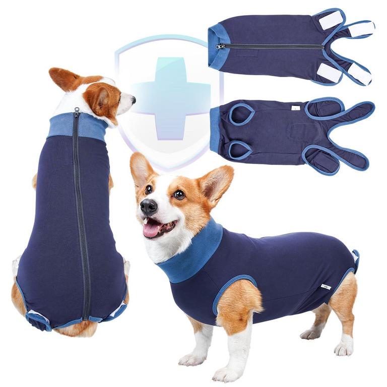 DOG RECOVERY SUIT BLUE L