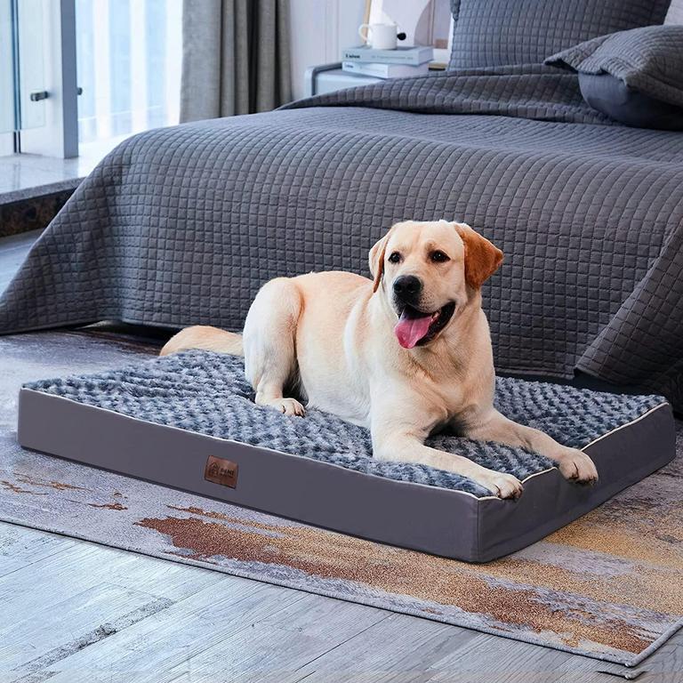 WH ORTHOPEDIC DOG BED