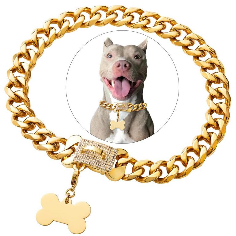PETOO GOLD DOG COLLAR