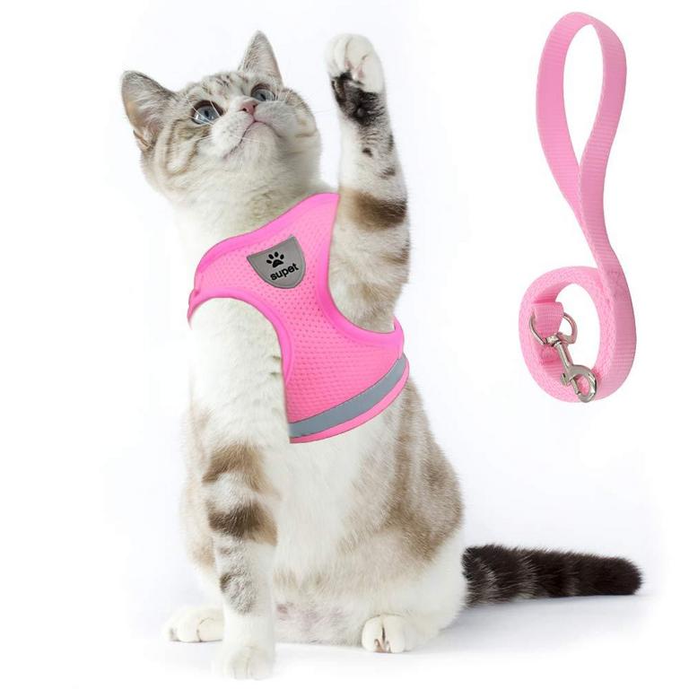 CAT HARNESS & LEASH SET