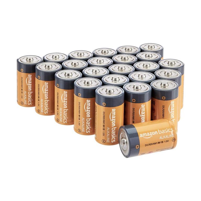 24PK D BATTERIES