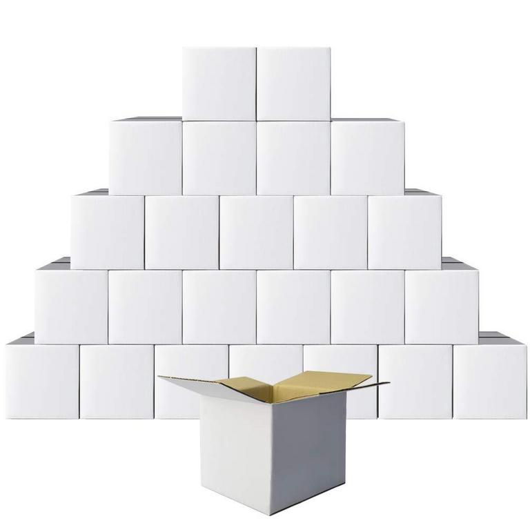 PETAFLOP 6X6X6 MAILER BOXES