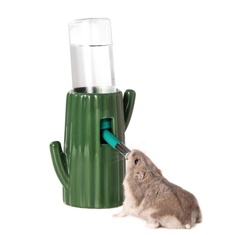 BUCATSTATE CACTUS WATER BOTTLE