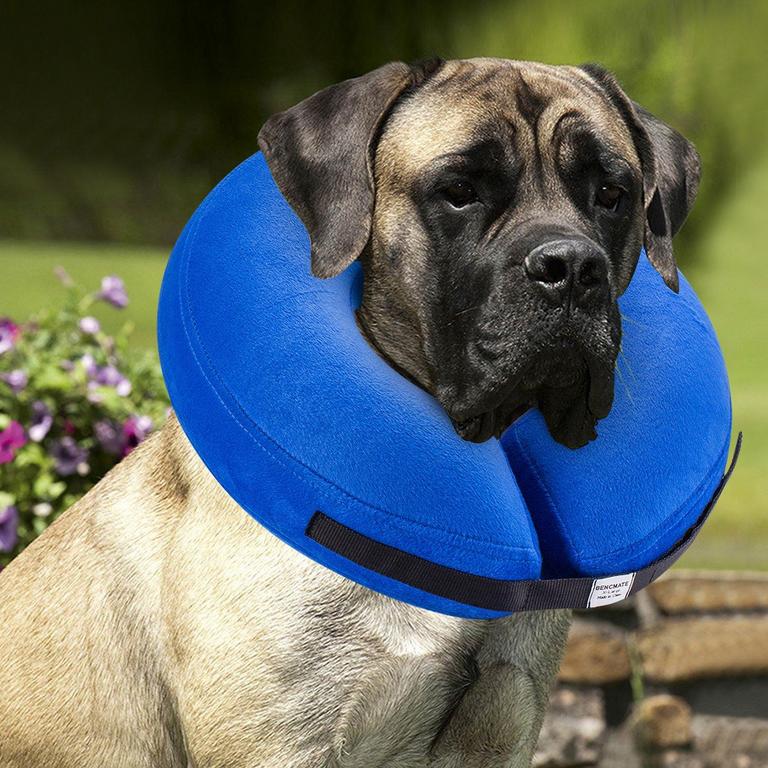 BENCMATE INFLATABLE COLLAR