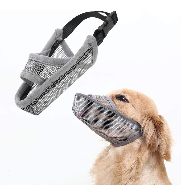 CRAZY FELIX DOG MUZZLE